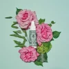 Santa Maria Novella Toning | Purifying>Acqua di Rose Gel Cream