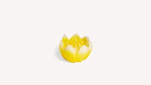 Santa Maria Novella Traditional Scented Candles>Fior di Loto Bud Scented Candle
