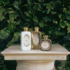 Santa Maria Novella Body Lotions>L'Iris Fluid Body Cream