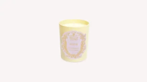 Santa Maria Novella Glass Candles>Notte Scented Candle