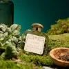 Santa Maria Novella Aromatic | Eau De Cologne>Pot Pourri