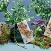Santa Maria Novella Scented Wax Tablets | Pot Pourri>Pot Pourri Scented Wax Tablets