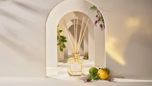 Santa Maria Novella Diffusers>Room Fragrance Diffuser Acqua della Regina
