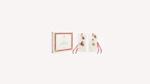 Santa Maria Novella Scented Wax Tablets>Rosa Novella Scented Wax Tablets