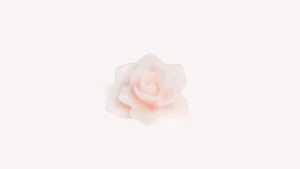 Santa Maria Novella Traditional Scented Candles>Rosa Shaped Scented Candle